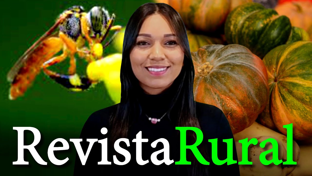 PROGRAMA REVISTA RURAL - 28/01/2024