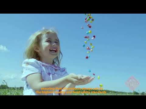 Company Introduction