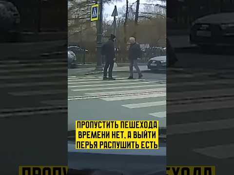 Пешеход не стерпел, когда его не пропустили