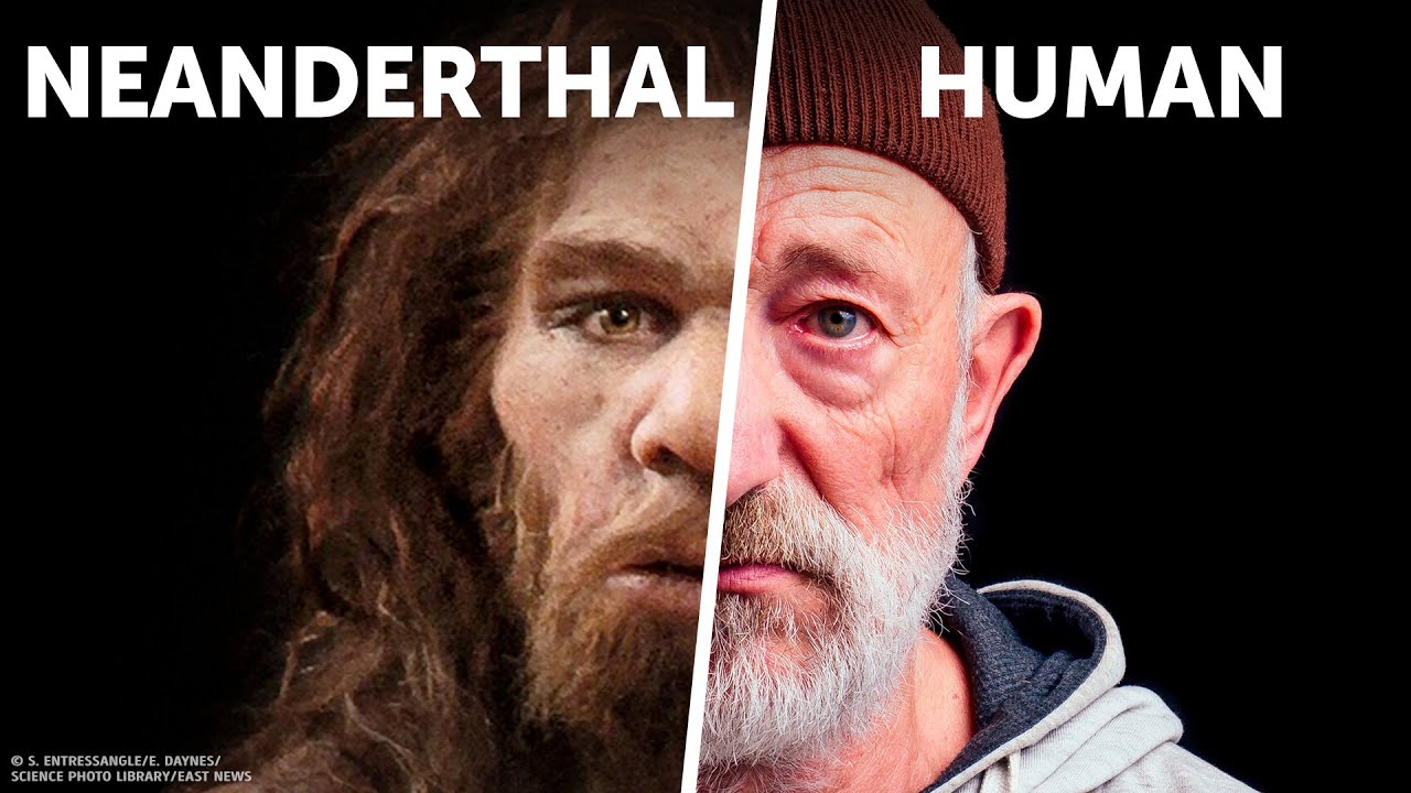 Who Would Win: You VS. Neanderthal