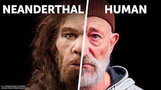 Who Would Win: You VS. Neanderthal