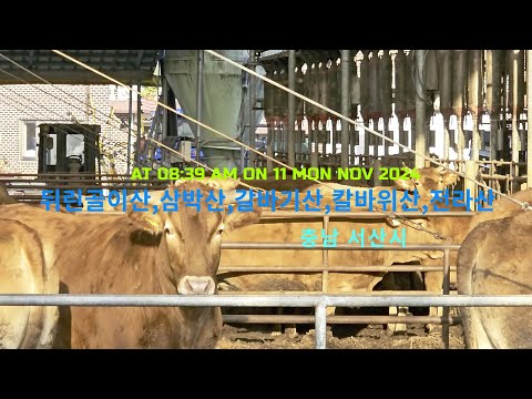 뒤린골이산 영상