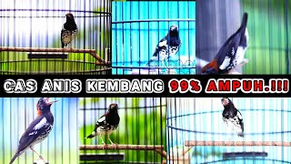 Download lagu CAS ONLINE ANIS KEMBANG JANTAN VS BETINA COCOK MEMANCING GACOR LANGSUNG BIRAHI mp3