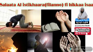 Download lagu Salaata istikhaaraa haajaa yoo qabaanne haajaan nuhaataatuuf salaatama? manama argina moo maalii? mp3