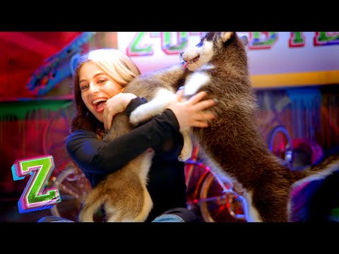Zombies 2 Secrets revealed | Puppy Q&A Challenge Part 2🐶 | ZOMBIES 2 | @disneychannelmusic