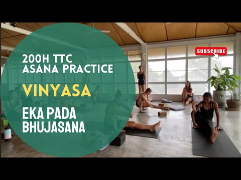 Vinyasa Yoga - Arm Balance Elephant Trunk pose