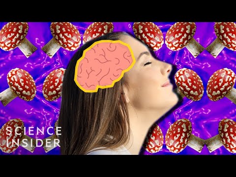 , title : 'How Magic Mushrooms Affect Your Brain'