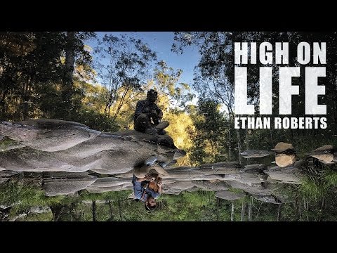 High on Life by Ethan Roberts