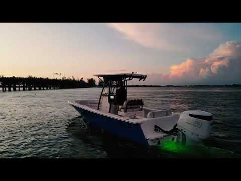 2021 Sea Born LX24 Center Console Video