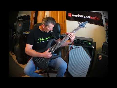 USA MTD Saratoga w/Nordstrand J Blade & Big Blademan pickups