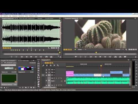 Adobe Premiere Pro CC - Il Corso Fondamentale | Corso in HD | Lezione 1 | Inizio