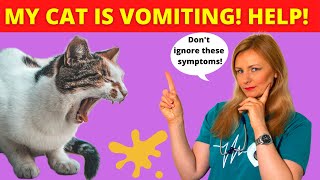 My Cat Is Vomiting What Should I Do? (Vet Explains)