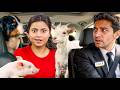 I Tested The Limits Of Pet Friendly Ubers