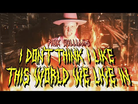 I Dont Think I Like This World We Live In - Pink Williams