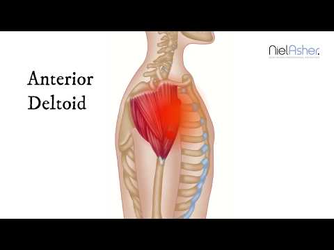 How To Find Trigger Points - Anterior Deltoid Muscle