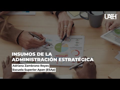 Insumos de la Administración Estratégica