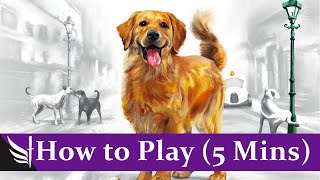 How to play A Dogs Life Board Game (FULL Rules, 5 mins)