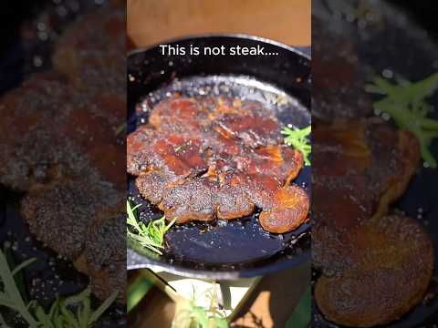 No, this is not a steak; this is Lion's Mane mushroom. Where can you find Lion's Mane?