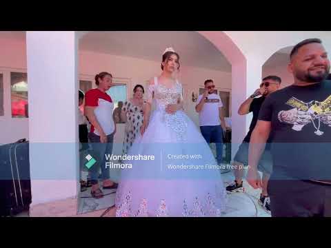 alin si alisa de la filiasi