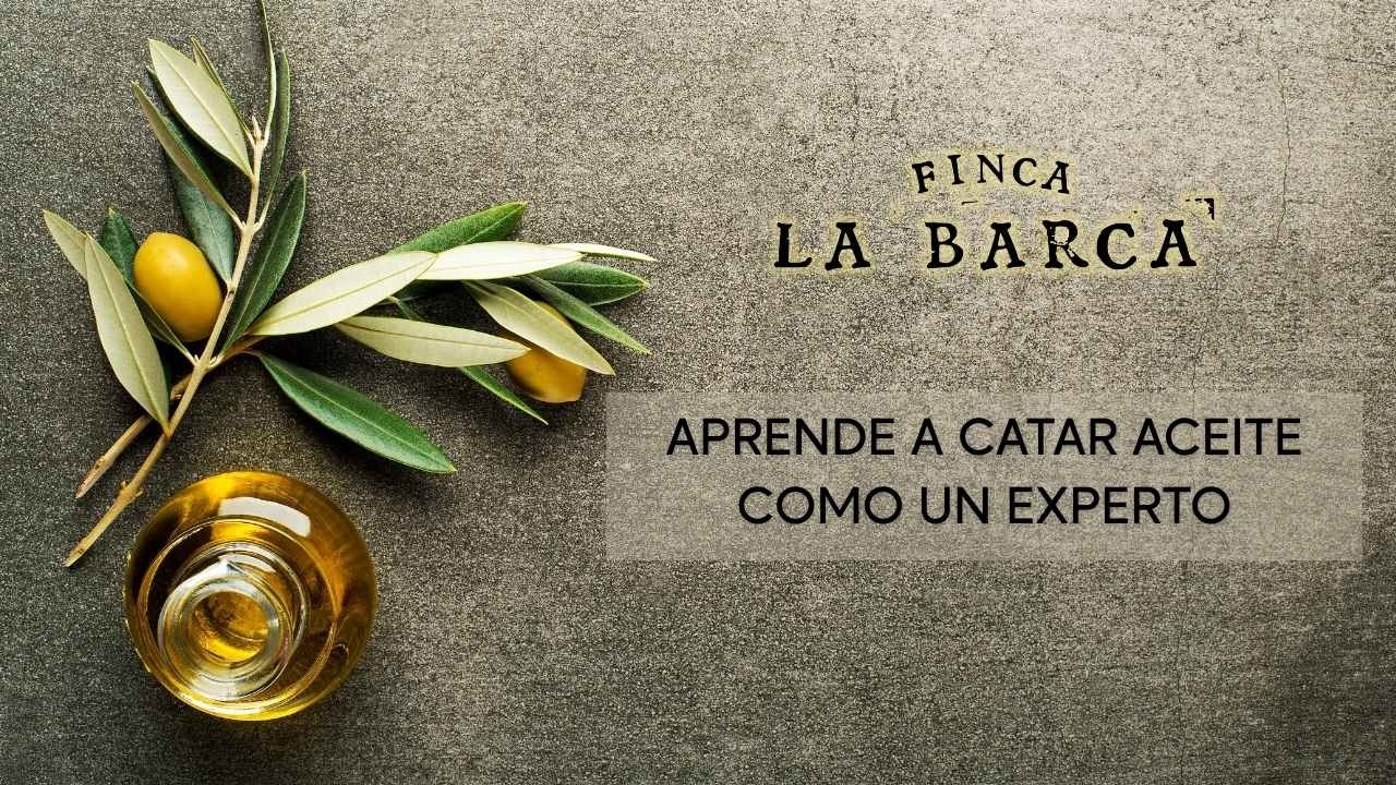 Aprende a Catar Aceite de Oliva como un Experto | Finca La Barca