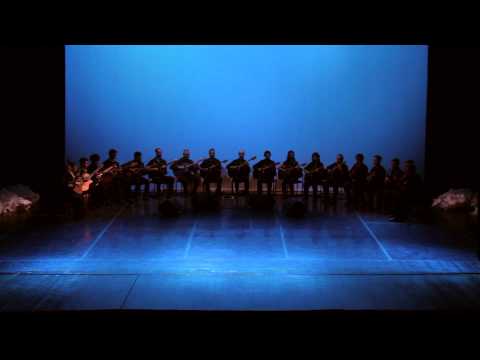 The Driving Force (Robert Fripp)