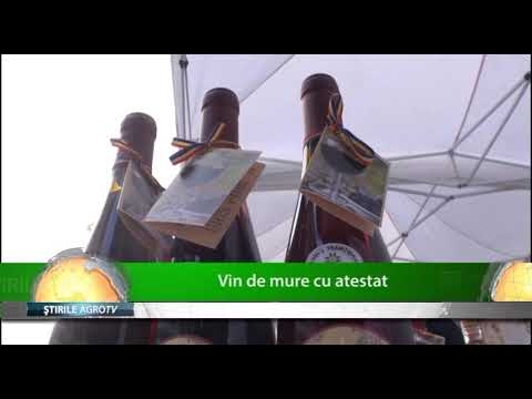 Vin de mure cu atestat 19 11 2019