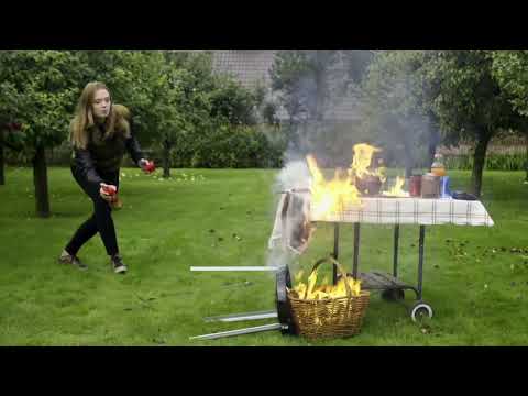 REINOLDMAX Feuerlöschspray.       STOP FIRE 750ml