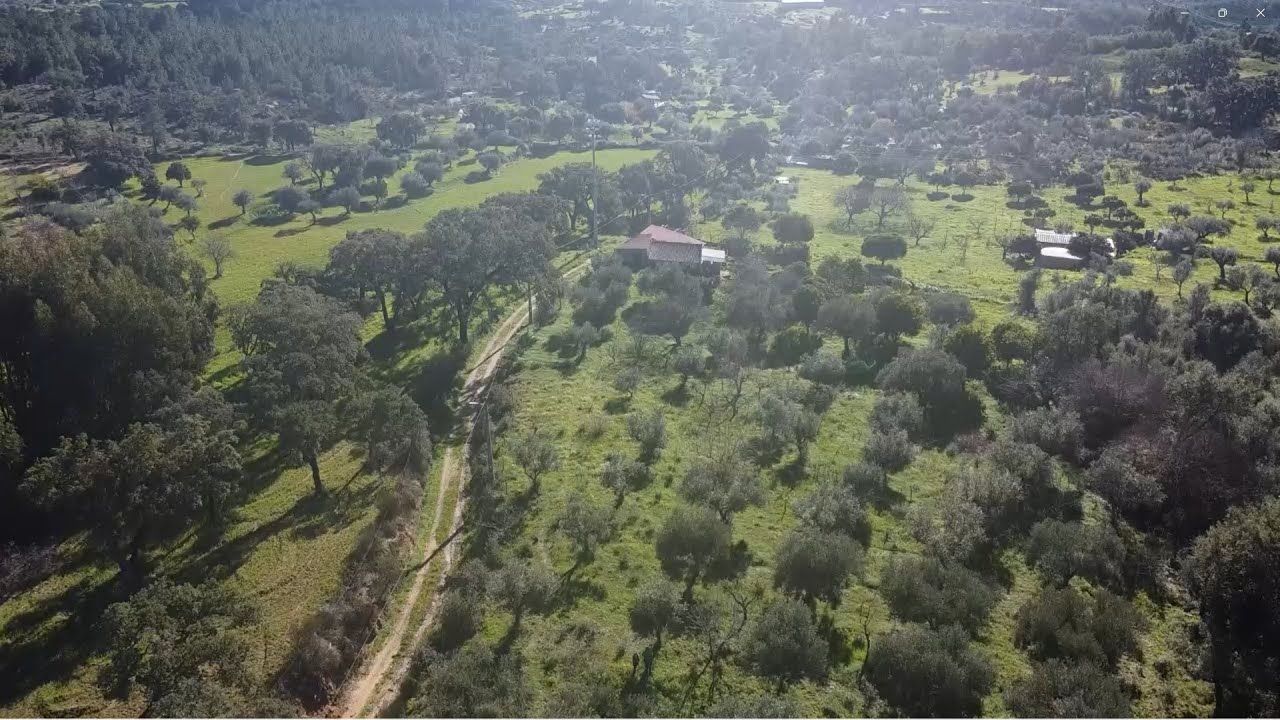 Vídeo do imóvel