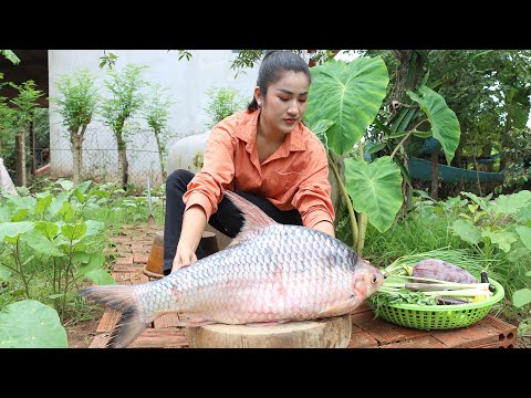 Harvest veggies and cook big fish / 3 recipes I use big river fish / Cooking with Sreypov