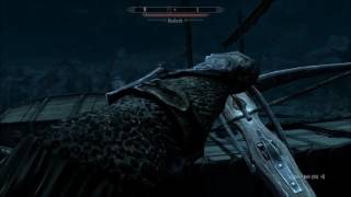 Skyrim - Shiny (Jemaine Clement)