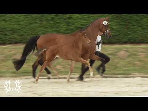 Nachttempel - Hf v. Tempelhof x  Interconti *2022   www.elmarhsausen.de