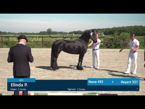 Locatiekeuring 14-6-2021 Stal HVM