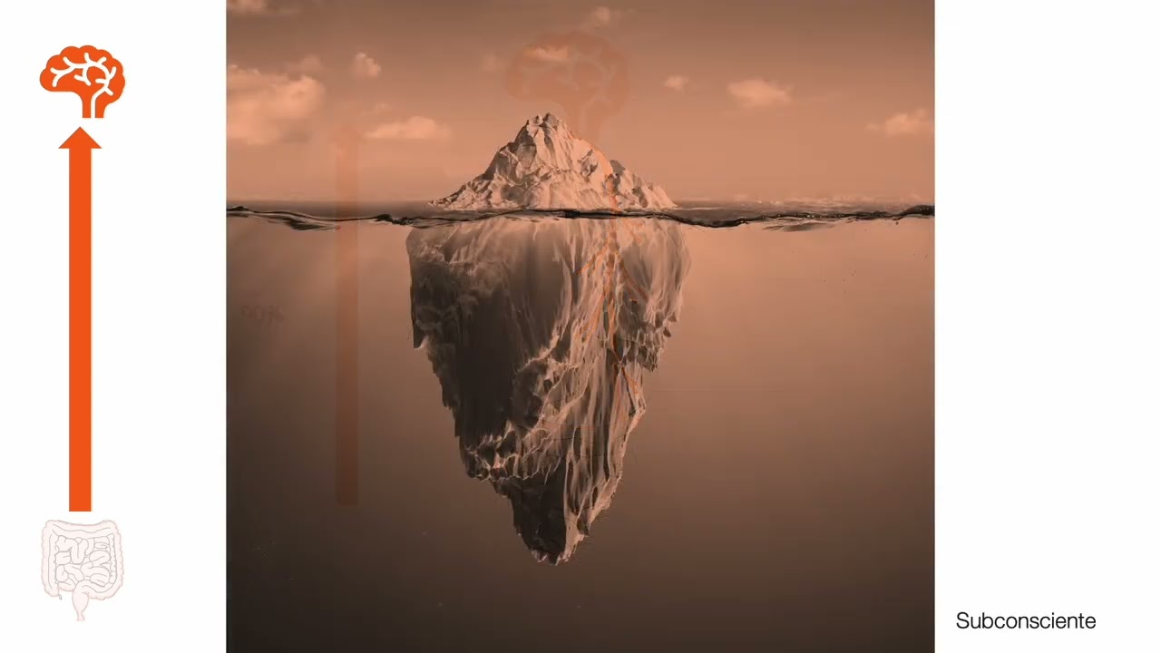 El intestino, nuestro segundo cerebro - El eje intestino-cerebro