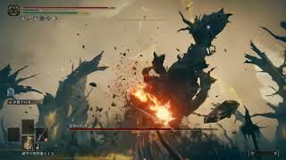 影樹の化身 Lv120 加護0 エルデンリング DLC ボス (初攻略時)【ELDEN RING DLC BOSS:Scadutree Avatar SOLO】