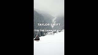 Taylor Swift - 'tis the damn season (Lyrics)