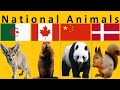 National Animal of Each Country