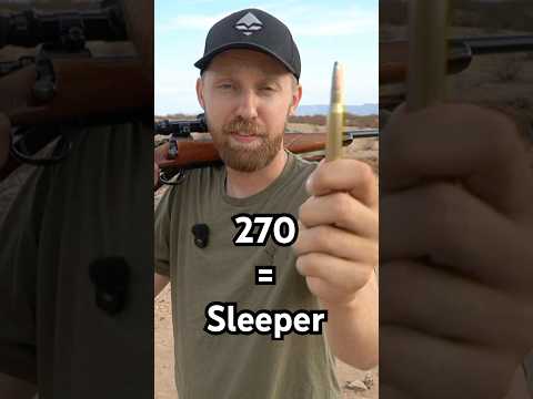 The Most Underrated Hunting Round? #270win #deerrifle #huntingrifles