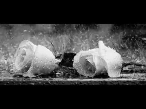 SGI - Customer Success Story