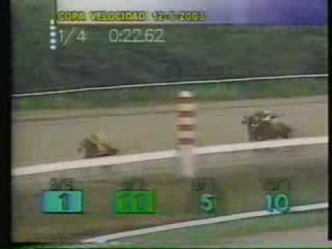 Copa Velocidad del Caribe 2003