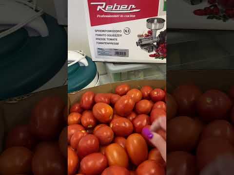 How I process fresh tomatoes with my Reber processor. Part #1