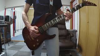 THE VINES/ANIMAL MACHINE を弾いてみた。