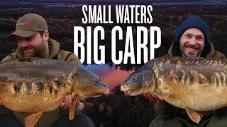 How To Catch Big Carp in Small Waters | Tactics, Tips, Rigs, Bait & Mindset