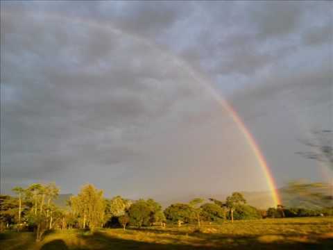 Sabanas de Cunaviche