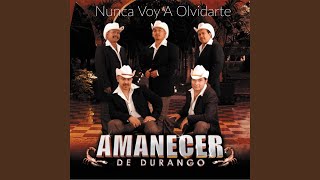 No Aprendi a Olvidar