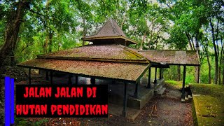 Download lagu walking along the filming location of KKN DESA PENARI in the Wanagama forest mp3 Download lagu walking along the filming location of KKN DESA PENARI in the Wanagama forest mp3