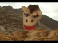 Carmen Camel Ps 4 8