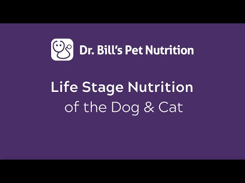 Life Stage Nutrition of the Dog & Cat | Dr. Bill's Pet Nutrition