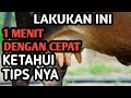 Terbukti Tips Memerah Susu Kambing Agar Keluarnya Banyak PEMULA WAJIB TAHU