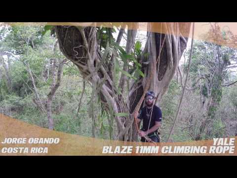 YouTube Thumbnail 1b0COEhYdJI