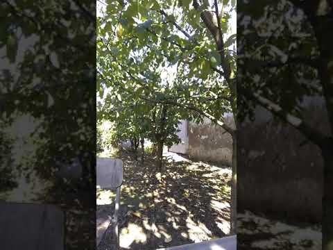 Frestyle , From Beat 100% 2018🤘🎵🎶🎼🥇